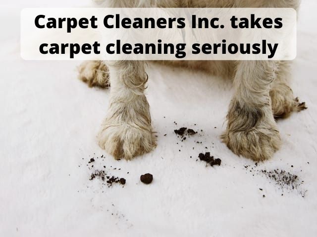 Carpet Cleaners Inc.