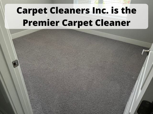 Carpet Cleaner Inc.