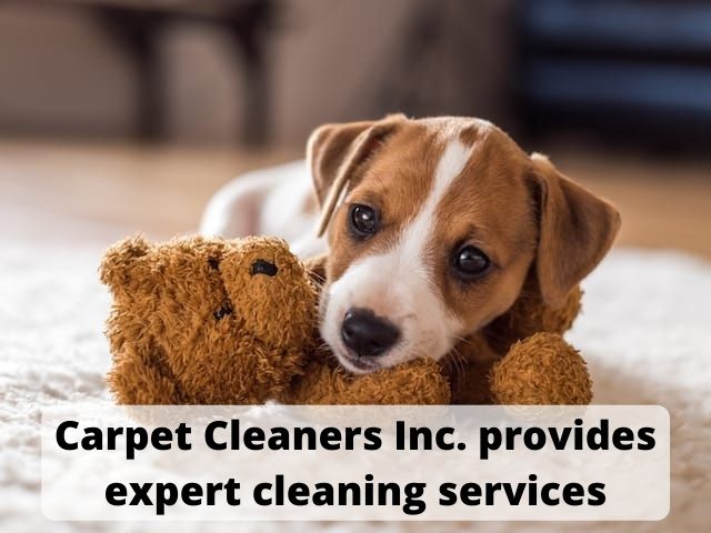 Carpet Cleaners Inc.