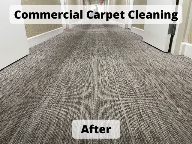 Commercial Carpet Cleaning After